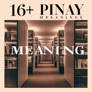 Read more about the article 16+ Pinay Meaning