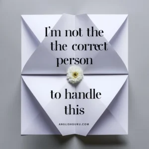 Read more about the article 20+ Professional Ways to Say “Not My Problem”