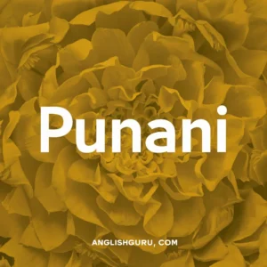 Read more about the article 16+ Punani Meaning: Definition, Origin & Modern Usage Explained