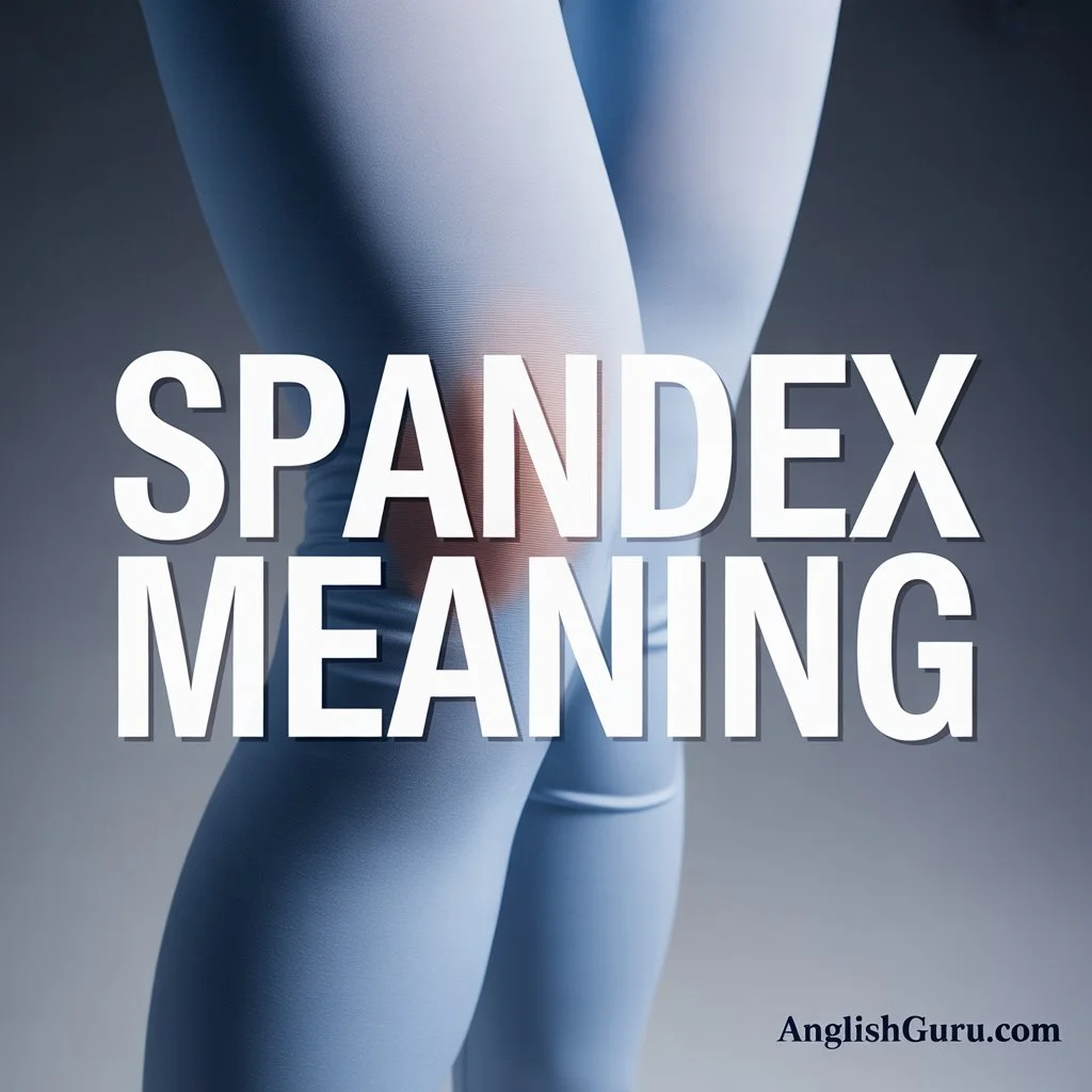 Read more about the article 16+ Spandex Meaning: Definition, Origin & Modern Usage