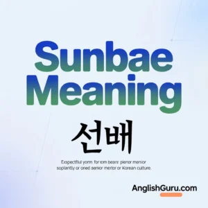 Read more about the article 17+ Sunbae Meaning: Definition, Cultural Context & How to Use It Naturally