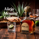 17+ Añejo Meaning & Real-Life Examples (Polite, Professional & Casual Uses You Must Know!)
