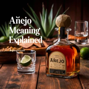 Read more about the article 17+ Añejo Meaning & Real-Life Examples (Polite, Professional & Casual Uses You Must Know!)