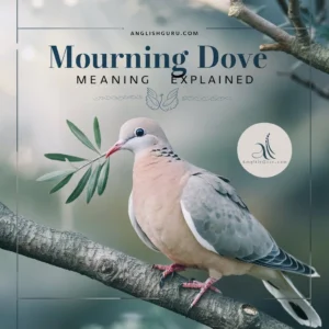 Read more about the article “15+ Mourning Dove Meaning Explained: Symbolism, Uses, and Interpretations”