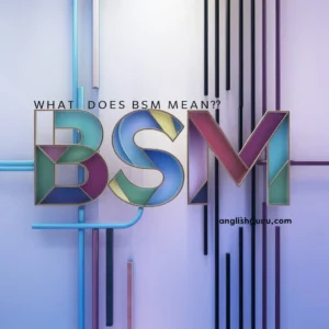 Read more about the article “BSM Meaning Explained: 18+ Uses You Need to Know Today”