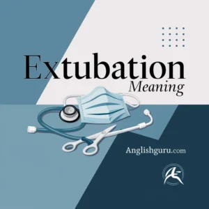 Read more about the article 18+ Extubation Meaning: Definition, Process, Purpose, Risks, and Recovery Explained