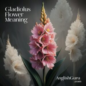 Read more about the article 19+ Gladiolus Flower Meaning: Definition, Symbolism, Context & Usage