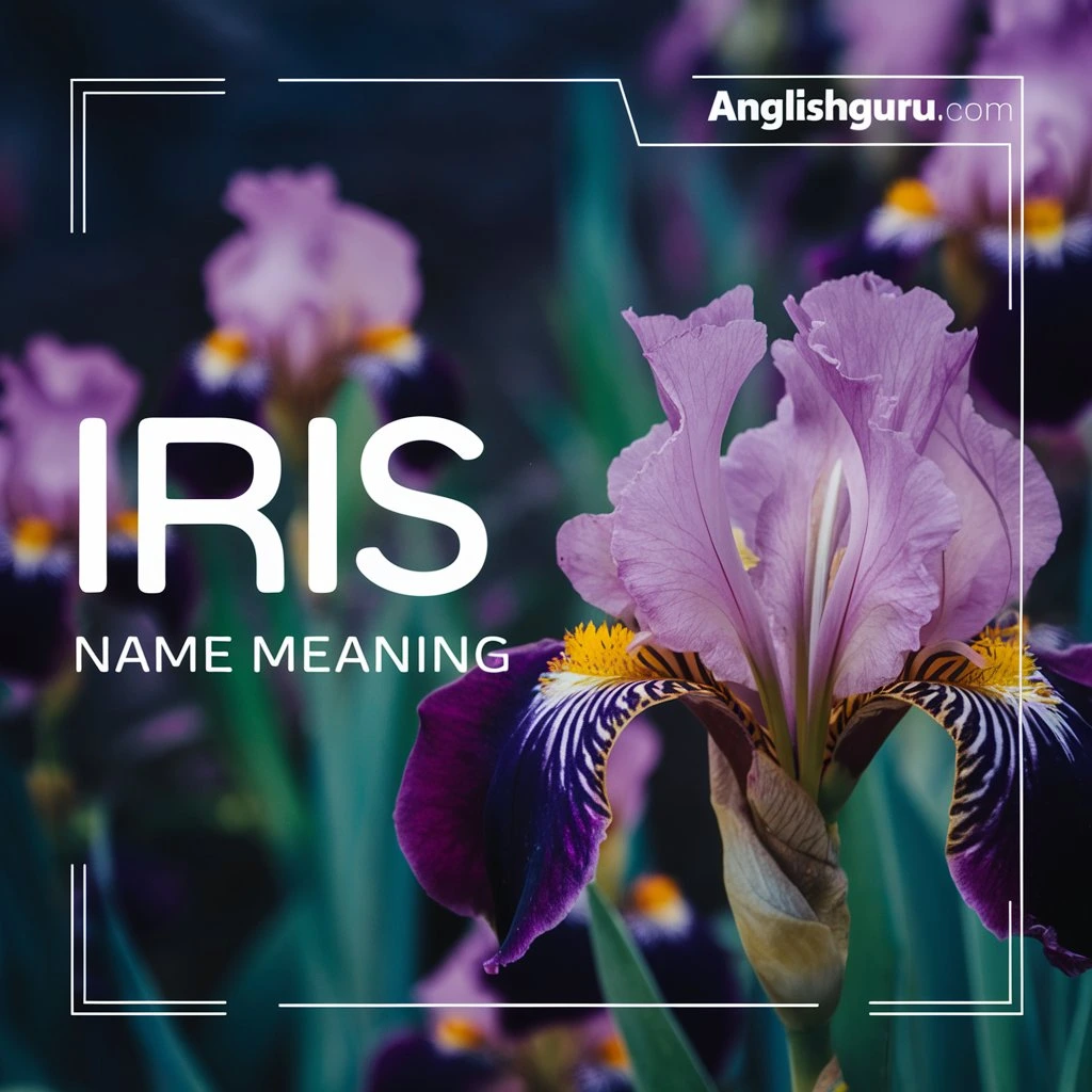 Read more about the article 17+ Iris Name Meaning Explained: Origin, Symbolism & Modern Usage
