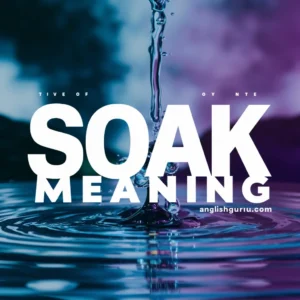 Read more about the article 17+ Soak Meaning in Hindi Dictionary – Definition, Examples, Context & Daily Usage Explained