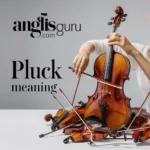 17+ Pluck Meaning: What It Really Means, Contexts You’ll See It In, and Clear Examples