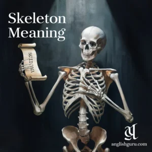 Read more about the article 18+ Skeleton Meaning: Complete Guide To Definitions, Usage, Tone & Real-Life Examples